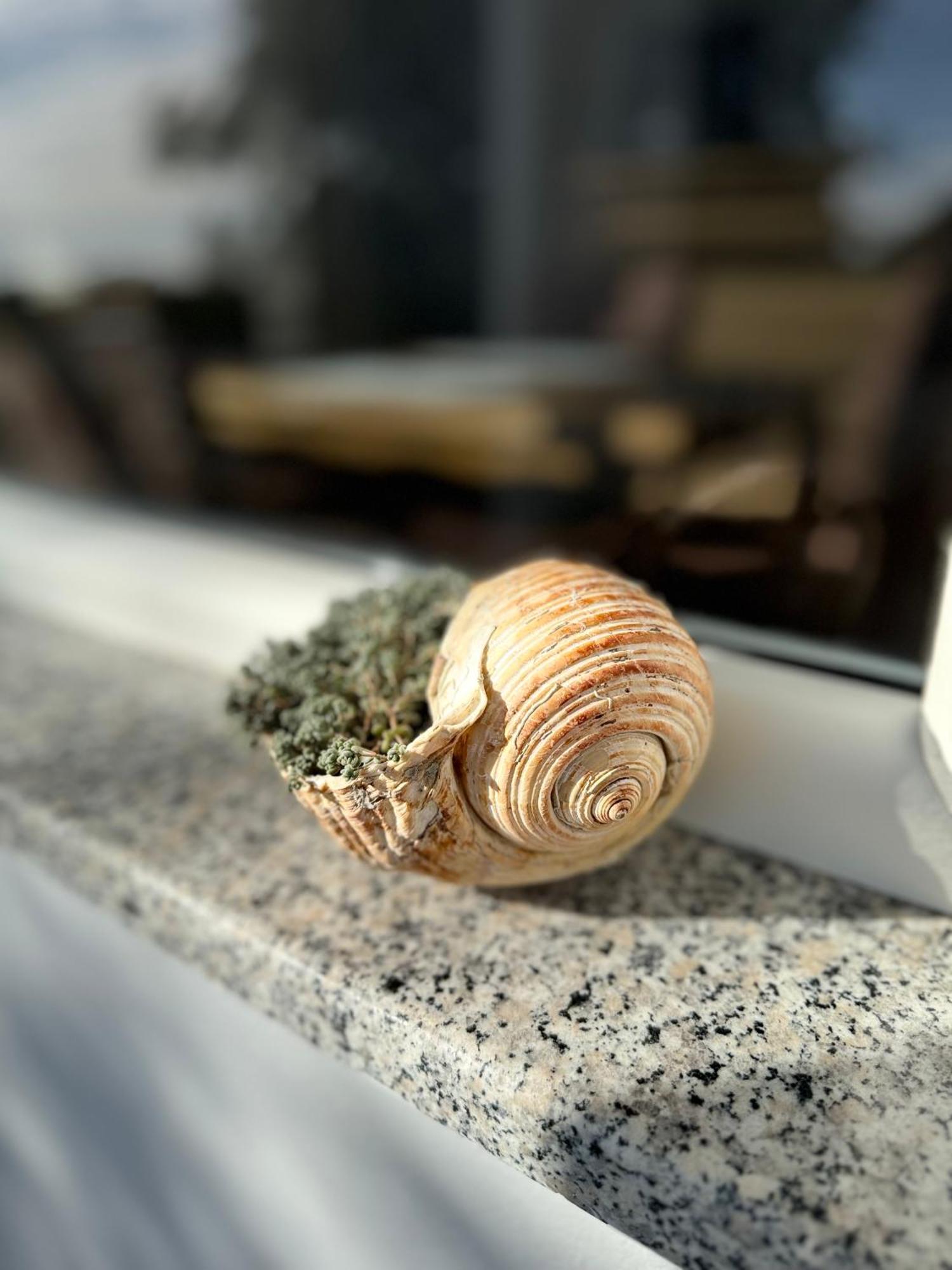 Vila Horizont Baks-Rrjoll Esterno foto