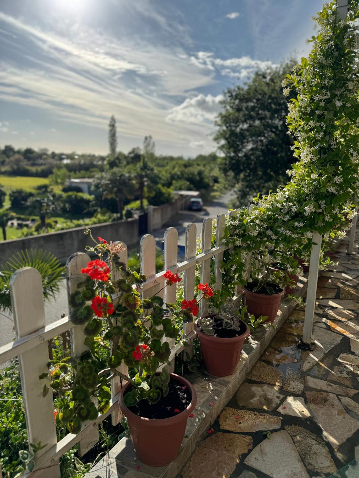 Vila Horizont Baks-Rrjoll Esterno foto